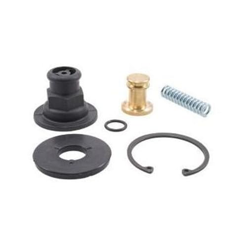 AUTOMANN 170.109995 Adsp Purge Valve Kit