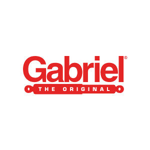 Gabriel Shocks